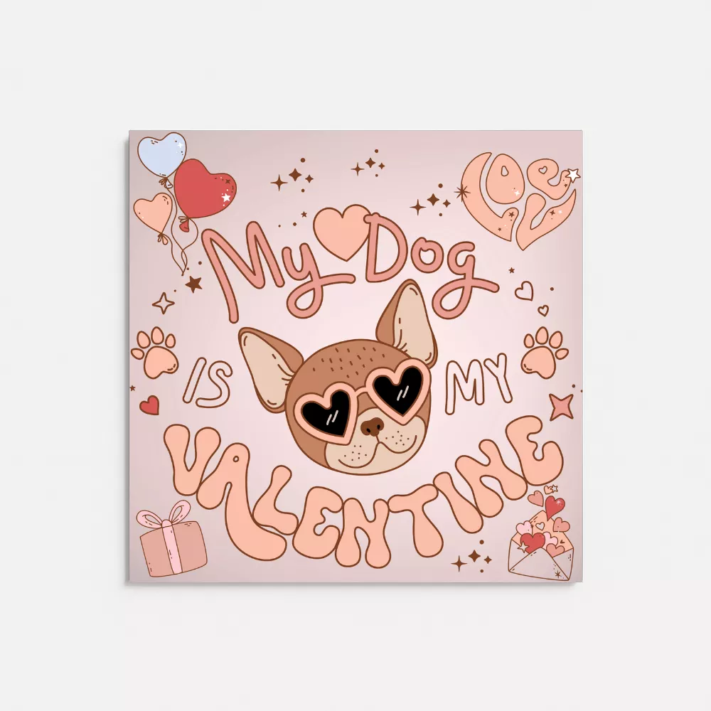 XO Dog Alumínium Kép